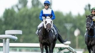 【平安S想定騎手】ロードクロンヌは藤岡佑介騎手、ブライアンセンスは岩田望来騎手