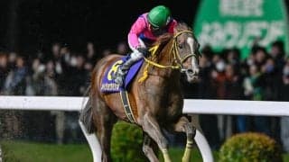 【平安S展望】実績馬メイショウハリオが中心も、波乱含みの一戦