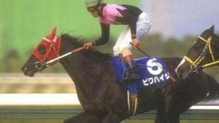 多くの重賞勝ち馬を産んだ繁殖牝馬「ビワハイジ」