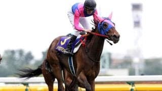 GI・3勝の名牝メイショウマンボ 9番人気評価を覆したオークスを振り返る