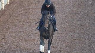 ミュージアムマイルなど、先週の入厩情報/栗東トレセンニュース