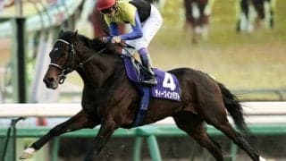 【日本ダービー何でもランキング】産駒勝利数第1位はディープインパクト 7勝の活躍