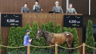 2025北海道市場2歳トレーニングセールが開催 最高価格はコントレイル産駒「テオレーマの2023」
