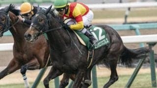 【オークス】2着4回の戸崎圭太騎手 重賞馬エリカエクスプレスで悲願の初制覇なるか