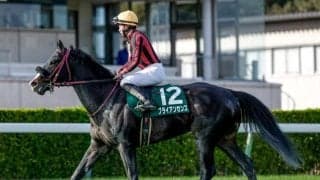 【平安S予想オッズ】ブライアンセンスが予想1番人気