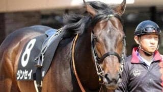 【平安S】ダートで覚醒したジンセイ 重賞初制覇狙う