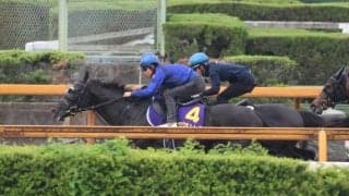 クロワデュノール、日本ダービー1週前追い切り速報/栗東トレセンニュース