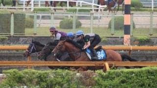 ミュージアムマイル、日本ダービー1週前追い切り速報/栗東トレセンニュース