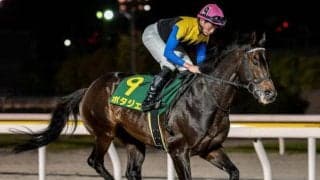 22年大阪杯覇者ポタジェが引退 イーストスタッドで種牡馬入り予定