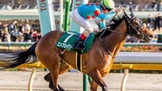 【オークス】現役トップの4勝挙げるC.ルメール騎手 エンブロイダリーで歴代最多タイとなるか