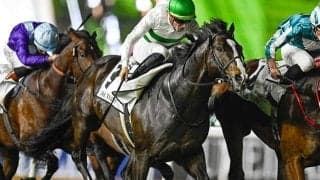 【安田記念想定】ソウルラッシュやジャンタルマンタルなど17頭