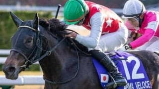 【オークス】GI・2勝目なるか 阪神JF覇者のアルマヴェローチェが挑む