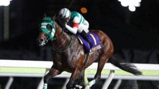 【大井・大井記念結果】ライトウォーリアが貫録の逃げ切りV！重賞5勝目を挙げる