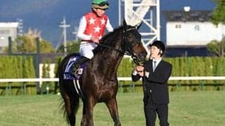 【オークス予想】不安要素が見当たらない?! AIが推奨するのは絶好の狙い目の馬