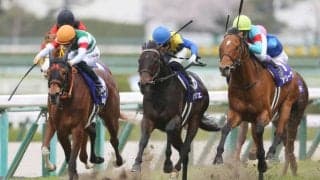 ポタジェの競走馬登録抹消…種牡馬入り
