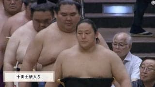 こんな柄あったのか…オールバックの人気力士、意外な化粧まわしにファン二度見「えっまじか」「似合ってる」