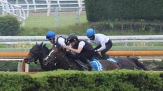 ショウヘイ、日本ダービー1週前追い切り速報/栗東トレセンニュース