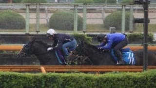 ソウルラッシュ、安田記念2週前追い切り速報/栗東トレセンニュース