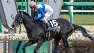 【平安S出走馬・騎手確定】ロードクロンヌ＆藤岡佑介騎手、ジンセイ＆川田将雅騎手など16頭