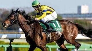 【オークス】辻野泰之調教師がGI初制覇なるか フラワーC覇者のレーゼドラマで参戦