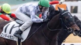 【メルボルンT】半兄は名馬ドウデュース エンダードラゴンが初芝で覚醒なるか