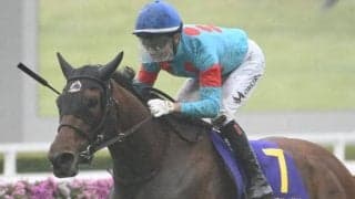 “2番人気”と“5枠”には注意 5月25日のオークスで見えた傾向とは