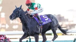 半兄はインドで種牡馬入り予定のキラーアビリティ キラーチューンがデビューV狙う