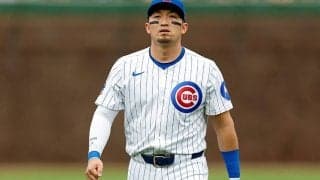 突如現れた米女優らに騒然「じわじわくる」　鈴木誠也の出場試合で起きた“まさか”