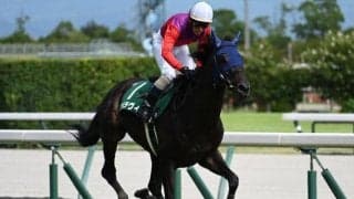 24年阪神JS覇者サペラヴィが登録抹消 北海道で乗馬になる予定