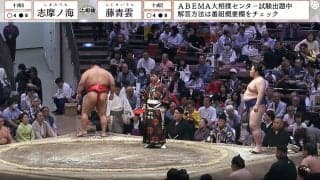 「ガチ映ってる」「気品が違う」大相撲中継に黄色のお召し物が美しい女性の姿 反響相次ぐ