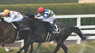 【平安S予想】前走でダート重賞や長距離戦を経験している馬が有利!? 下級条件から参戦した馬が苦戦する理由とは