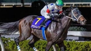 道悪の平安Sはアウトレンジに注目 高速決着は歓迎だ