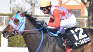 今週の武豊騎手は15鞍 マーブルロックで平安Sの27年ぶり2勝目なるか