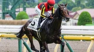 半兄に日本ダービー馬と皐月賞馬 シャハザマーンが3度目の正直なるか