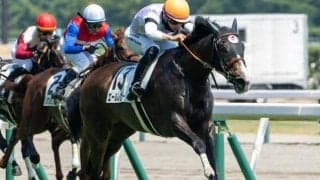 新潟芝はパワー重視 大日岳特別はエールレヴリーが穴