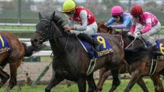 道悪のオークスはアルマヴェローチェで軸不動