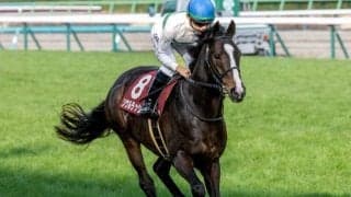 【安田記念想定馬・騎手】ソウルラッシュ、ジャンタルマンタルなど17頭