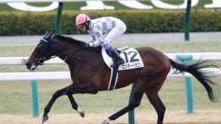 武豊騎手今週の騎乗馬…ドウデュース半弟エンダードラゴンが出走