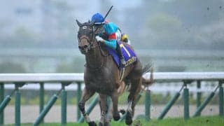 【オークス】エンブロイダリーは487kg…出走馬の調教後の馬体重