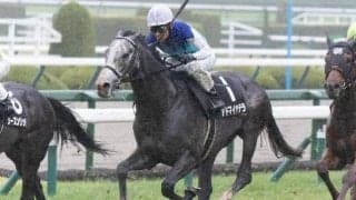 【目黒記念想定馬・騎手】アドマイヤテラ、スティンガーグラスなど20頭