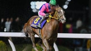 【今日の注目ポイント】帝王賞の前哨戦・平安Sで実力馬が激突