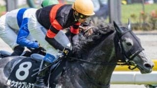 2.7億円の良血馬 ホウオウプレミアが約2年2カ月ぶりの勝利なるか