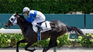 【平安S予想】帝王賞への重要なステップレース ペースが落ち着きやすく先行できるかがカギに