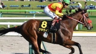 兄姉にリアルスティール＆ラヴズオンリーユー 矢作芳人厩舎ゆかりの超良血グラヴィスが3勝目狙う