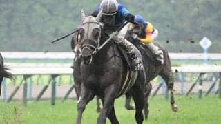 【メルボルンT結果】グラフィティアートが後方からの大外一気でV