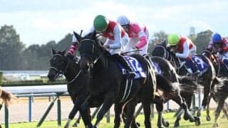 東京芝は末脚が生きる アルマヴェローチェの差し切りだ