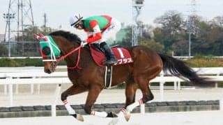 ラプタスの競走馬登録抹消…ダート戦線で長年活躍