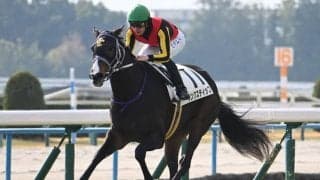 【オークス予想】樫の女王に輝くのはどの馬か 王道ローテで結果を残した馬に注目