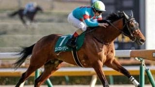 【オークス予想】2ケタ人気で好走する馬の共通点は？ 過去データから探るGIオークス