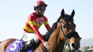 過去の出身馬にベラジオオペラなど 船橋競馬場で26日に千葉サラブレッドセール